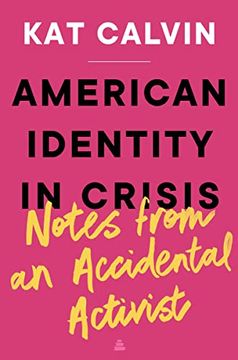 portada American Identity in Crisis: Notes From an Accidental Activist (en Inglés)