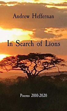 portada In Search of Lions: Poems 2010-2020 (in English)