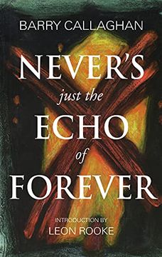 portada Never's Just the Echo of Forever: Book Two in the Sweetwater Calhoun Series (en Inglés)