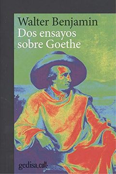 portada Dos Ensayos Sobre Goethe (in Spanish)