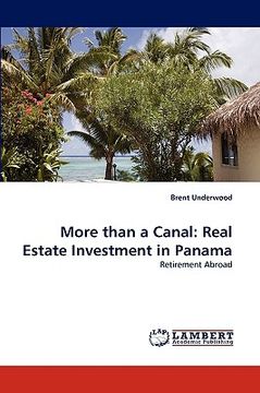 portada more than a canal: real estate investment in panama (en Inglés)