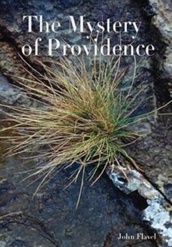 portada The Mystery of Providence 