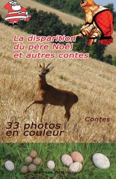 portada La disparition du père Noël et autres contes (French Edition)