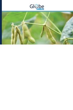 portada Rainfall variability and risks of droughts during soybean cultivation