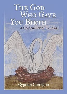 portada God who Gave you Birth: A Spirituality of Kenosis (en Inglés)