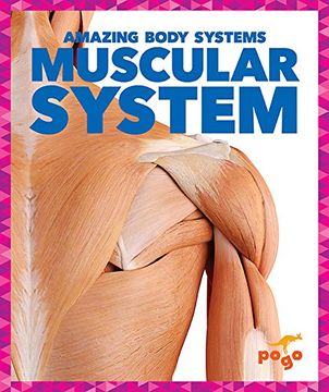 portada Muscular System (en Inglés)