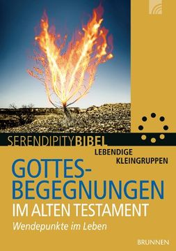 portada Gottesbegegnungen im Alten Testament: Wendepunkte im Leben (en Alemán)