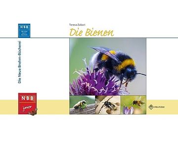 portada Die Bienen (Nbb Junior) (en Alemán)