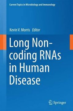 portada Long Non-coding RNAs in Human Disease (Current Topics in Microbiology and Immunology)