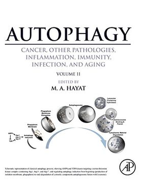 portada Autophagy: Cancer, Other Pathologies, Inflammation, Immunity, Infection, and Aging