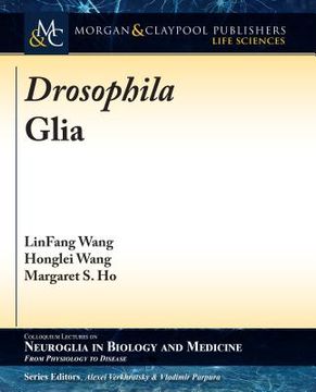 portada Drosophila Glia (en Inglés)