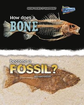 portada How Does a Bone Become a Fossil? (en Inglés)