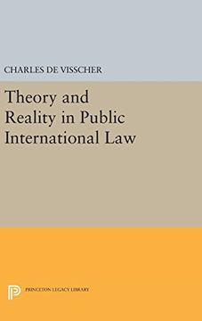 portada Theory and Reality in Public International law (Center for International Studies, Princeton University) (en Inglés)