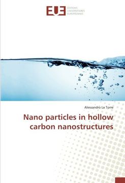 portada Nano particles in hollow carbon nanostructures