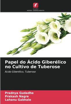 portada Papel do Ácido Giberélico no Cultivo de Tuberose: Ácido Giberélico, Tuberose (en Portugués)