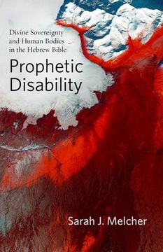portada Prophetic Disability: Divine Sovereignty and Human Bodies in the Hebrew Bible (Studies in Religion, Theology, and Disability) 