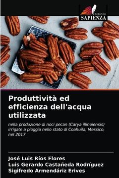 portada Produttività ed efficienza dell'acqua utilizzata (en Italiano)
