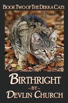 portada Birthright - Book Two of The Dekka Cats (en Inglés)