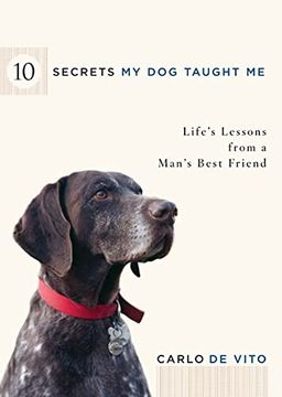 portada 10 Secrets my dog Taught me: Life Lessons From a Man's Best Friend (en Inglés)