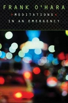 portada Meditations in an Emergency (in English)