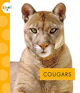 portada Cougars (en Inglés)