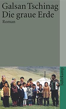 portada Die Graue Erde: Roman (Suhrkamp Taschenbuch) (en Alemán)