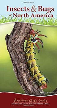portada Insects & Bugs of North America (Adventure Quick Guides) (in English)