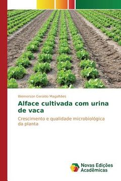 portada Alface cultivada com urina de vaca (en Portugués)
