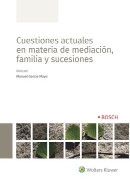 portada Cuestiones Actuales en Materia Mediacion Familia y Sucesion (in Spanish)