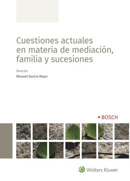 portada Cuestiones Actuales en Materia Mediacion Familia y Sucesion