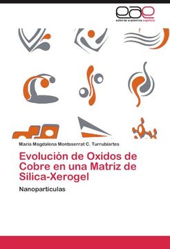 portada Evolución de Oxidos de Cobre en una Matriz de Silica-Xerogel (in Spanish)