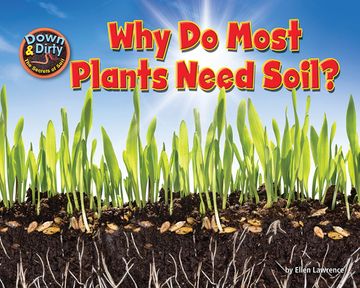 portada Why Do Most Plants Need Soil? (en Inglés)