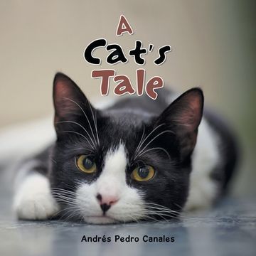 portada A Cat's Tale (en Inglés)