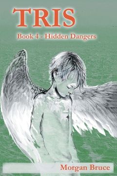 portada Tris 4: Hidden Dangers (en Inglés)