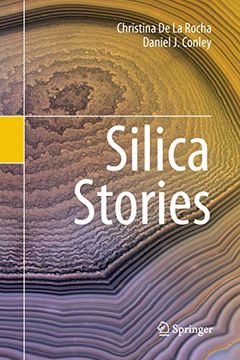 portada Silica Stories (en Inglés)