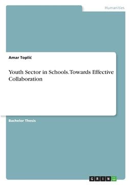 portada Youth Sector in Schools. Towards Effective Collaboration (en Inglés)