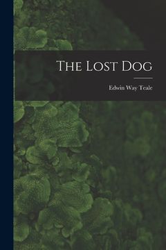 portada The Lost Dog