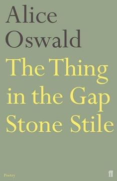 portada The Thing in the Gap Stone Stile
