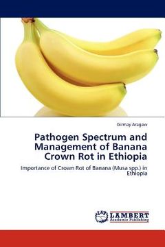 portada pathogen spectrum and management of banana crown rot in ethiopia (en Inglés)