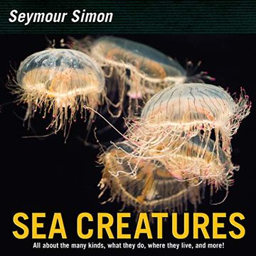 portada Sea Creatures 