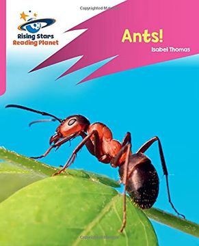 portada Reading Planet: Rocket Phonics – Target Practice – Ants! – Pink a (en Inglés)