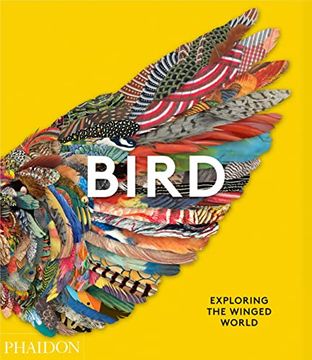 portada Birds: Exploring the Winged World (Popular Culture) (in English)