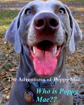 portada The Adventures of Poppy Mae: Who Is Poppy Mae?: Volume 1