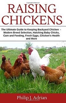portada Raising Chickens: The Ultimate Guide to Keeping Backyard Chickens - Modern Breed Selection, Hatching Baby Chicks, Feeding and Caring for Your Flocks, Fresh Eggs, Chicken’S Health and More. (en Inglés)