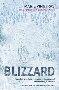 portada Blizzard (en Inglés)