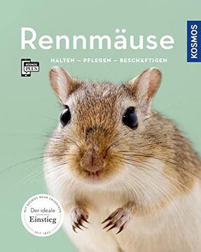 portada Rennmäuse: Halten, Pflegen, Beschäftigen (Mein Tier) (en Alemán)
