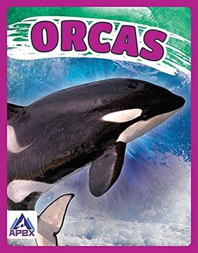 portada Orcas
