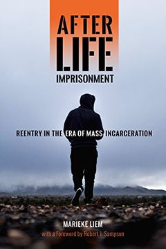 portada After Life Imprisonment: Reentry in the era of Mass Incarceration (New Perspectives in Crime, Deviance, and Law) (en Inglés)