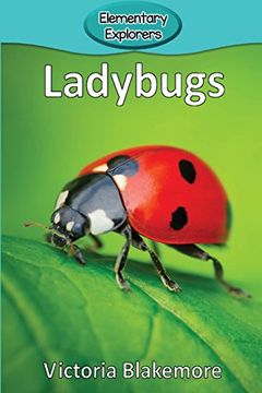 portada Ladybugs (Elementary Explorers) (in English)
