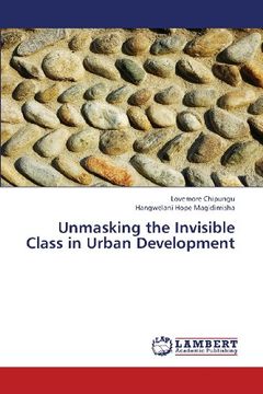 portada Unmasking the Invisible Class in Urban Development